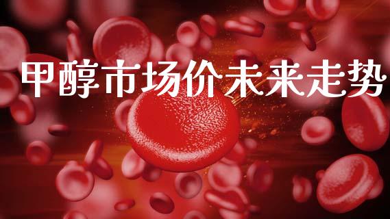 甲醇市场价未来走势_https://m.15771688.com_期货手续费_第1张