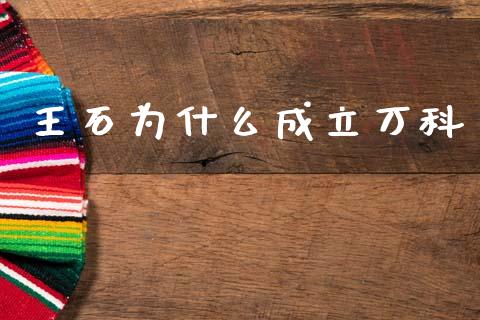 王石为什么成立万科_https://m.15771688.com_期货手续费_第1张