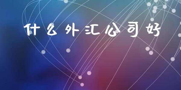 什么外汇公司好_https://m.15771688.com_期货开户_第1张
