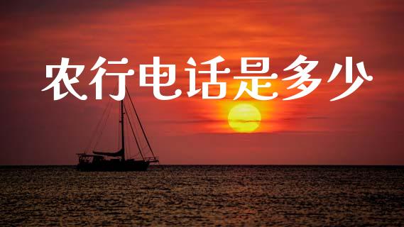 农行电话是多少_https://m.15771688.com_期货手续费_第1张