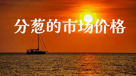 分葱的市场价格_https://m.15771688.com_道指实时行情_第1张