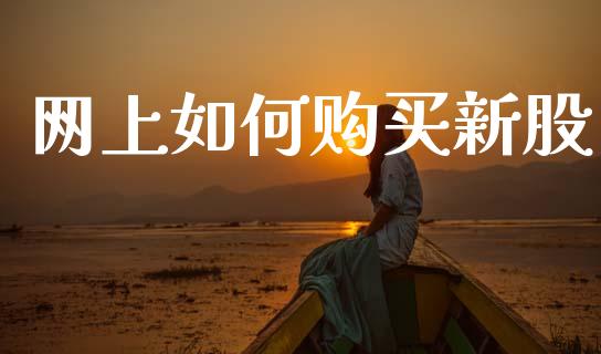 网上如何购买新股_https://m.15771688.com_美国道指_第1张