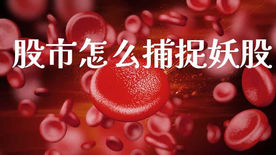 股市怎么捕捉妖股_https://m.15771688.com_期货开户_第1张