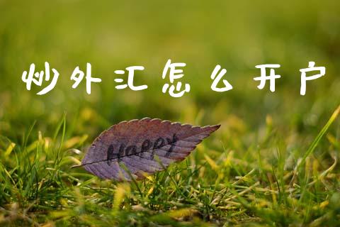 炒外汇怎么开户_https://m.15771688.com_期货手续费_第1张