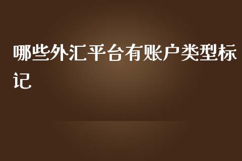 哪些外汇平台有账户类型标记_https://m.15771688.com_期货开户_第1张