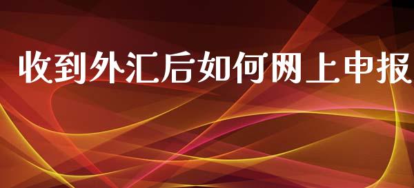 收到外汇后如何网上申报_https://m.15771688.com_期货手续费_第1张