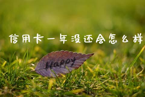 信用卡一年没还会怎么样_https://m.15771688.com_美国道指_第1张