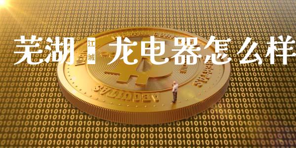 芜湖鑫龙电器怎么样_https://m.15771688.com_期货开户_第1张