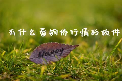 有什么看铜价行情的软件_https://m.15771688.com_道指实时行情_第1张