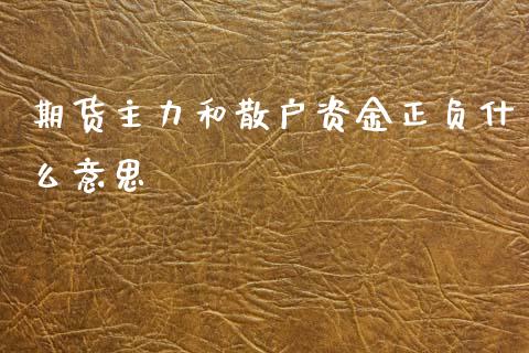 期货主力和散户资金正负什么意思_https://m.15771688.com_道指实时行情_第1张