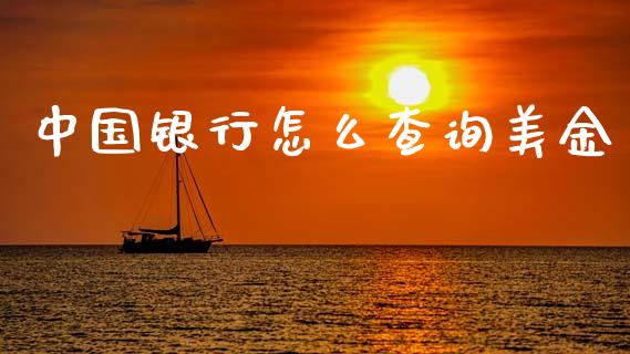 中国银行怎么查询美金_https://m.15771688.com_期货开户_第1张