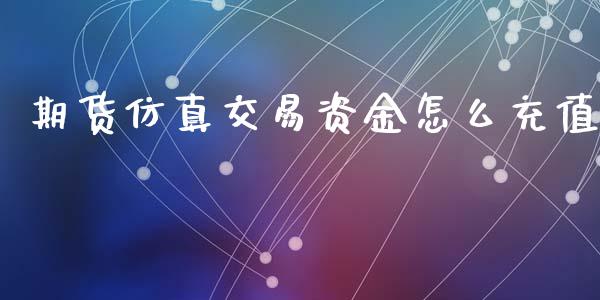 期货仿真交易资金怎么充值_https://m.15771688.com_美国道指_第1张