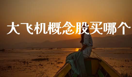 大飞机概念股买哪个_https://m.15771688.com_道指实时行情_第1张