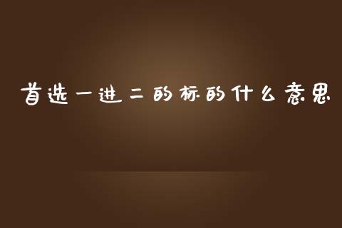 首选一进二的标的什么意思_https://m.15771688.com_道指实时行情_第1张