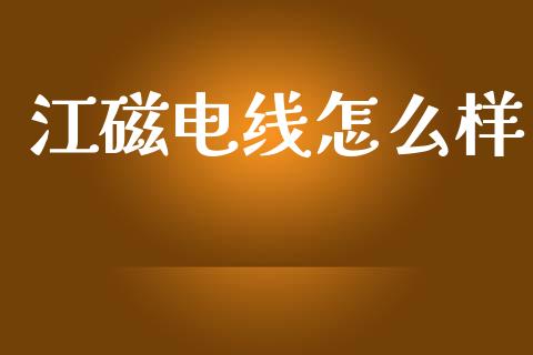 江磁电线怎么样_https://m.15771688.com_道指实时行情_第1张