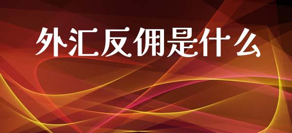外汇反佣是什么_https://m.15771688.com_道指实时行情_第1张