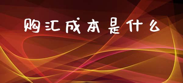 购汇成本是什么_https://m.15771688.com_期货开户_第1张