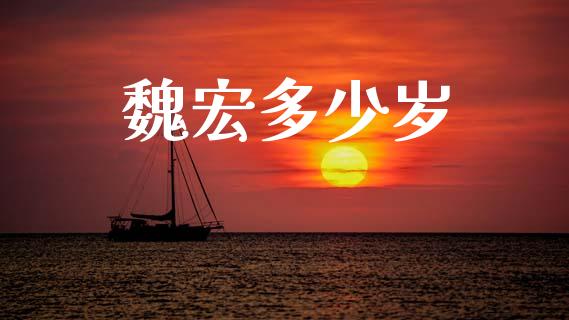 魏宏多少岁_https://m.15771688.com_期货手续费_第1张