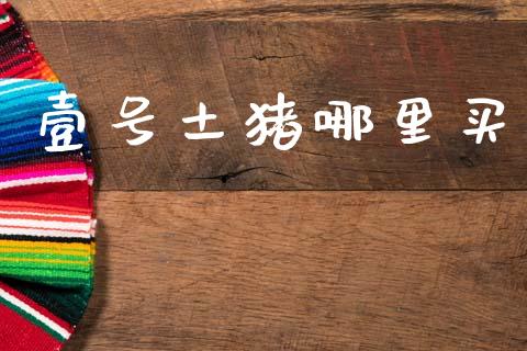 壹号土猪哪里买_https://m.15771688.com_期货手续费_第1张