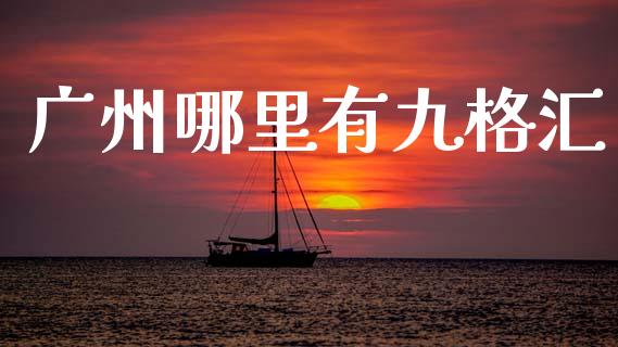 广州哪里有九格汇_https://m.15771688.com_期货开户_第1张