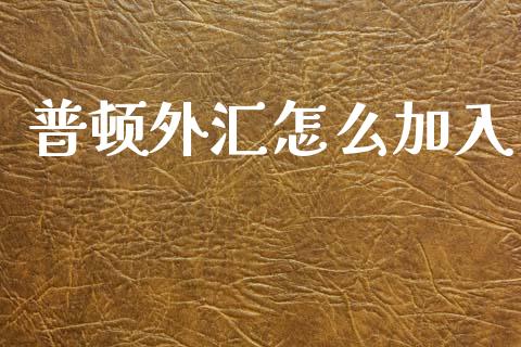 普顿外汇怎么加入_https://m.15771688.com_期货手续费_第1张