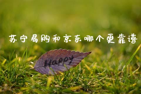 苏宁易购和京东哪个更靠谱_https://m.15771688.com_道指实时行情_第1张