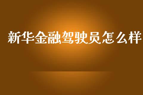 新华金融驾驶员怎么样_https://m.15771688.com_期货开户_第1张