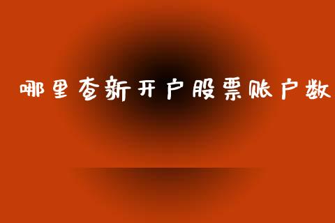 哪里查新开户股票账户数_https://m.15771688.com_道指实时行情_第1张
