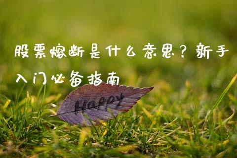 股票熔断是什么意思？新手入门必备指南_https://m.15771688.com_道指实时行情_第1张