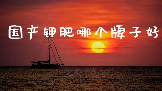 国产钾肥哪个牌子好_https://m.15771688.com_期货开户_第1张