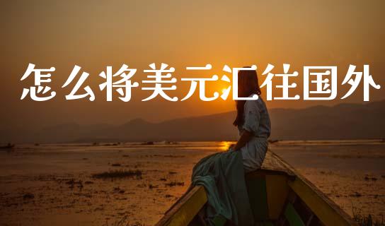怎么将美元汇往国外_https://m.15771688.com_美国道指_第1张