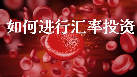 如何进行汇率投资_https://m.15771688.com_期货手续费_第1张