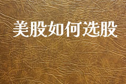 美股如何选股_https://m.15771688.com_期货开户_第1张