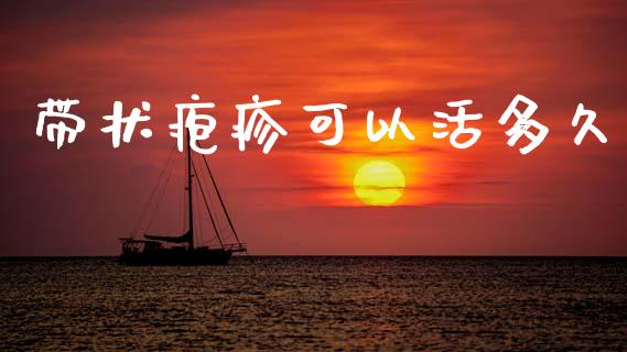 带状疱疹可以活多久_https://m.15771688.com_期货开户_第1张