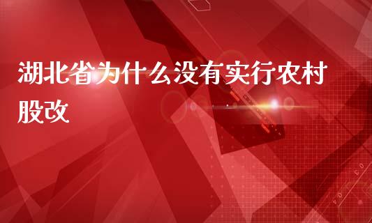 湖北省为什么没有实行农村股改_https://m.15771688.com_美国道指_第1张