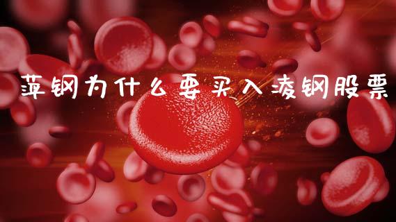 萍钢为什么要买入凌钢股票_https://m.15771688.com_美国道指_第1张