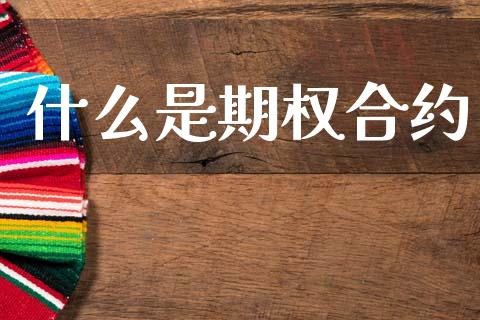 什么是期权合约_https://m.15771688.com_道指实时行情_第1张