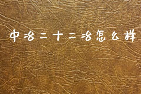 中冶二十二冶怎么样_https://m.15771688.com_期货开户_第1张