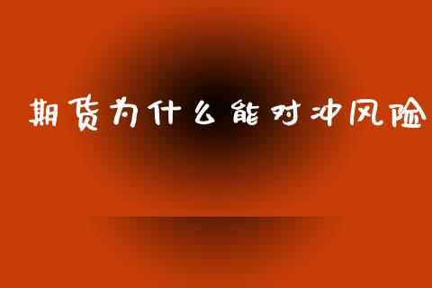 期货为什么能对冲风险_https://m.15771688.com_期货手续费_第1张