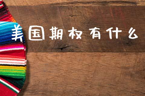 美国期权有什么_https://m.15771688.com_期货手续费_第1张