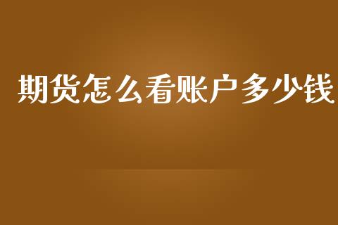 期货怎么看账户多少钱_https://m.15771688.com_期货手续费_第1张