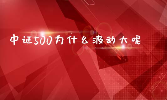 中证500为什么波动大呢_https://m.15771688.com_期货手续费_第1张