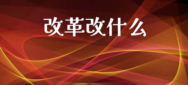 改革改什么_https://m.15771688.com_期货手续费_第1张