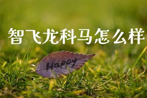 智飞龙科马怎么样_https://m.15771688.com_道指实时行情_第1张
