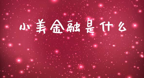 小美金融是什么_https://m.15771688.com_美国道指_第1张