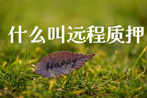 什么叫远程质押_https://m.15771688.com_美国道指_第1张