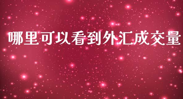 哪里可以看到外汇成交量_https://m.15771688.com_期货手续费_第1张