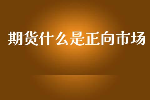 期货什么是正向市场_https://m.15771688.com_美国道指_第1张
