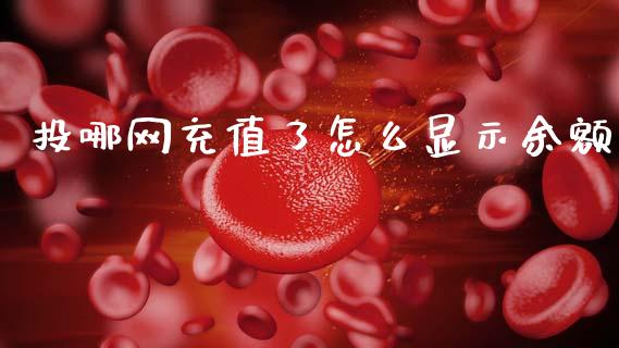 投哪网充值了怎么显示余额_https://m.15771688.com_期货开户_第1张