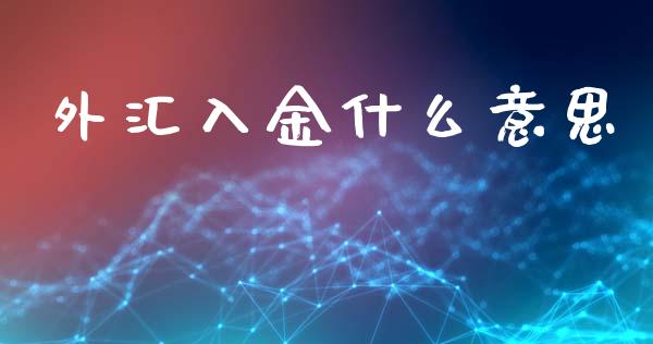外汇入金什么意思_https://m.15771688.com_道指实时行情_第1张